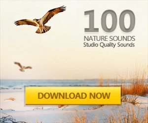 Nature Sound Pack 336x280 Nature Sound Pack